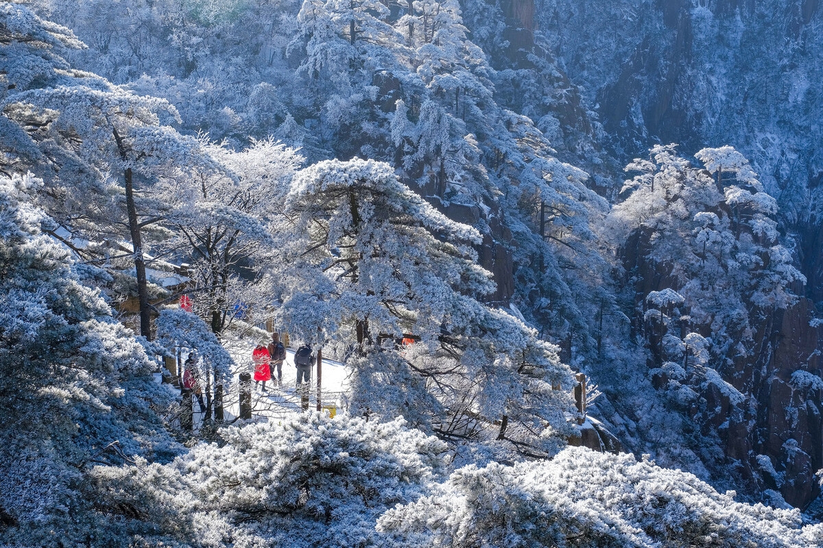 适合冬季出发的5条自驾路线，一路风景美上天，1-3月正合适