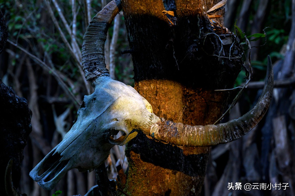 中国最后一个原始部落——翁丁