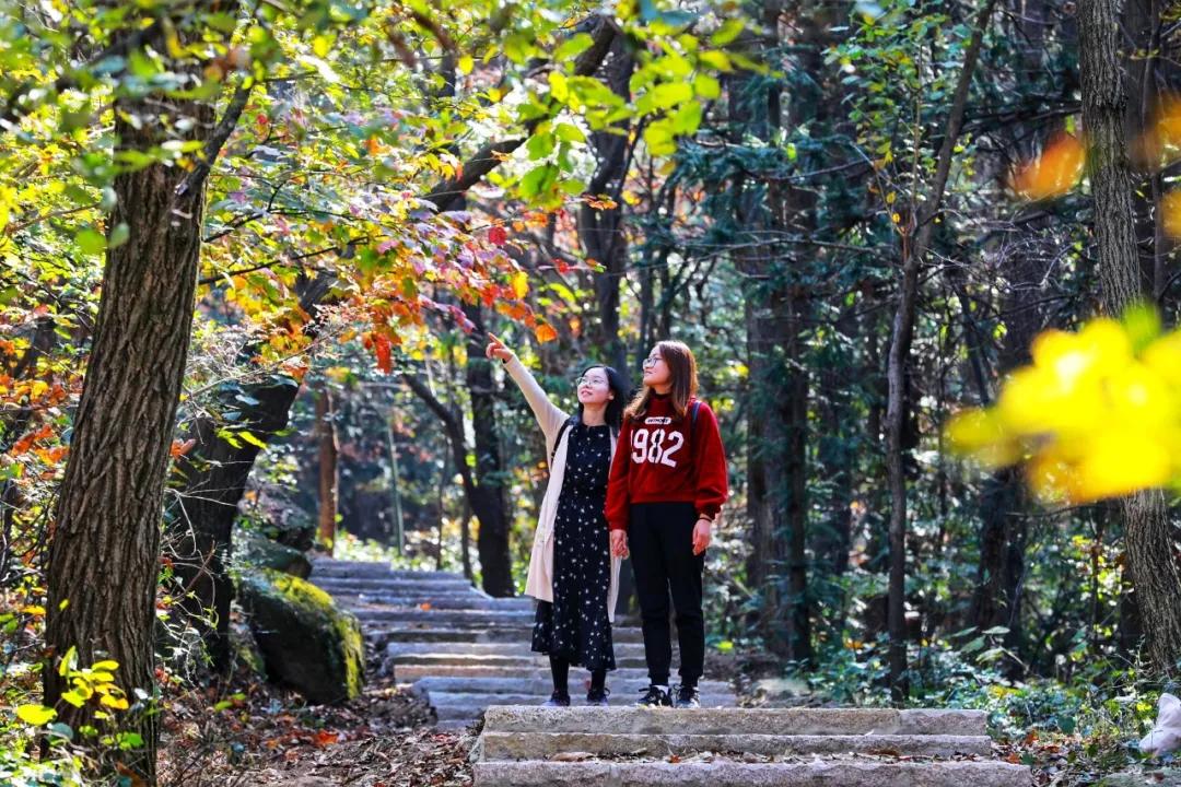 【必读】鸡公山无限次旅游年卡，你想知道的都在这里！