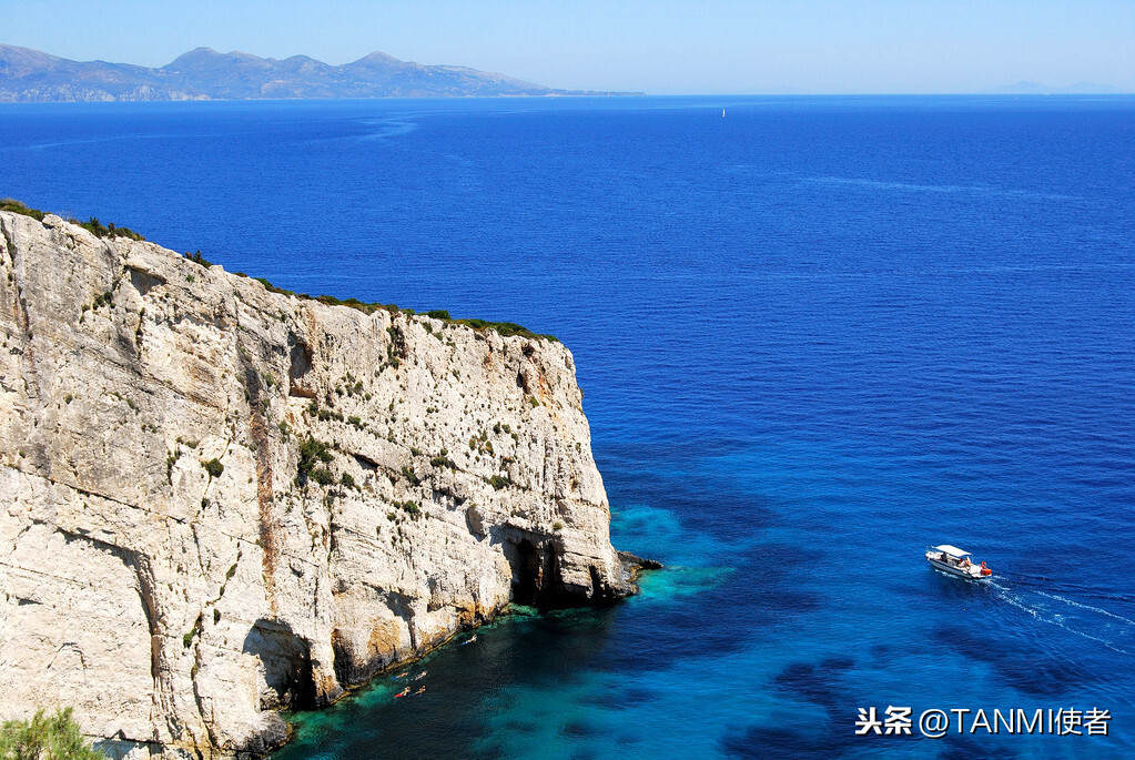 世界上最大的深海生物是什么？