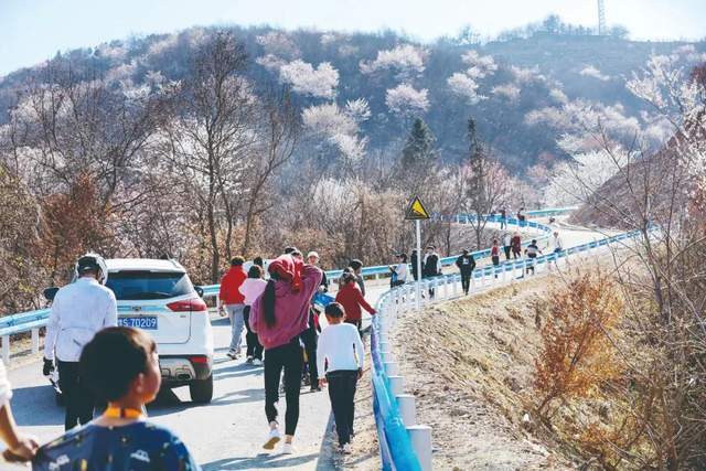 来！赏花跟我走：未来一个月，信阳这些地方美醉了