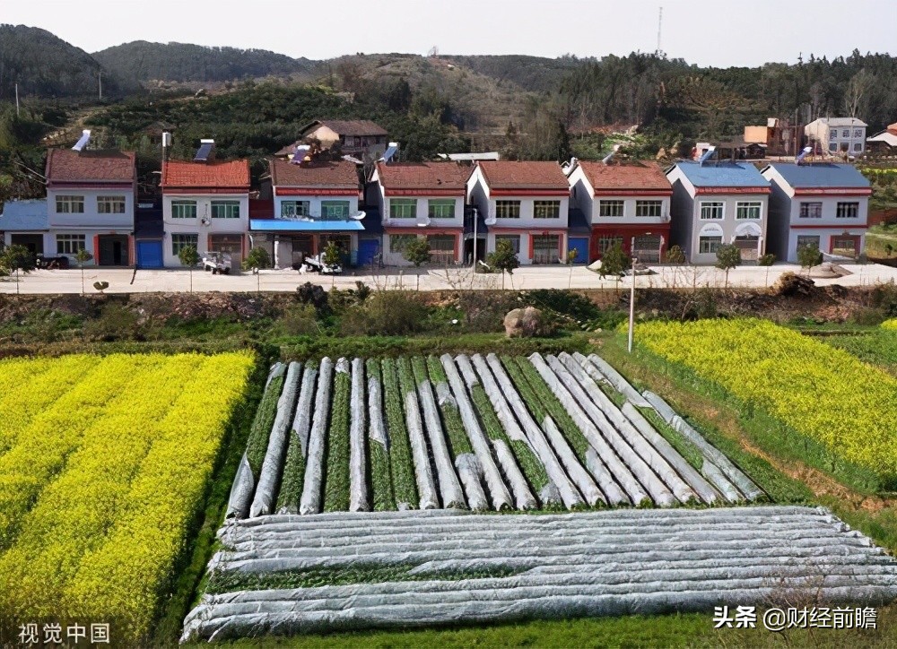 “确权”停止？老家有房的注意了，新规下农村宅基地统统地随房走