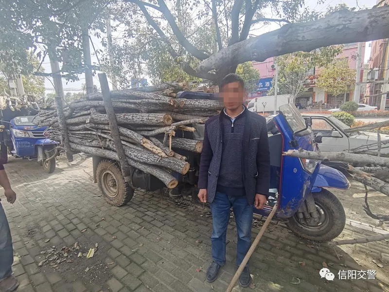 组团无证驾驶被查 难兄难弟均遭重罚